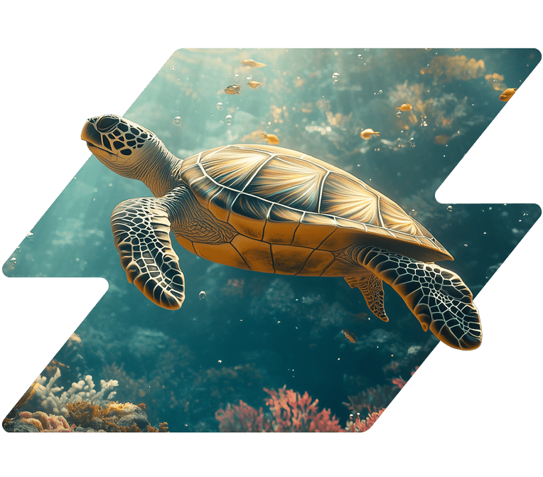 Virtual presenter delivering corporate training content